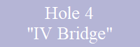Hole 4
"IV Bridge"